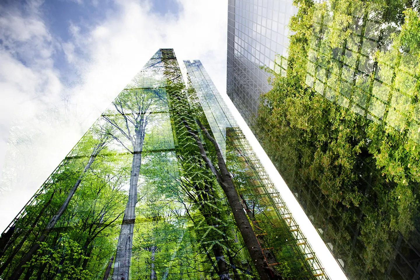 Un frondoso bosque verde reflejado en las ventanas de un rascacielos moderno