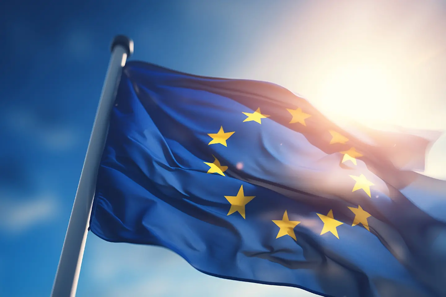 Vlag van de Europese Unie